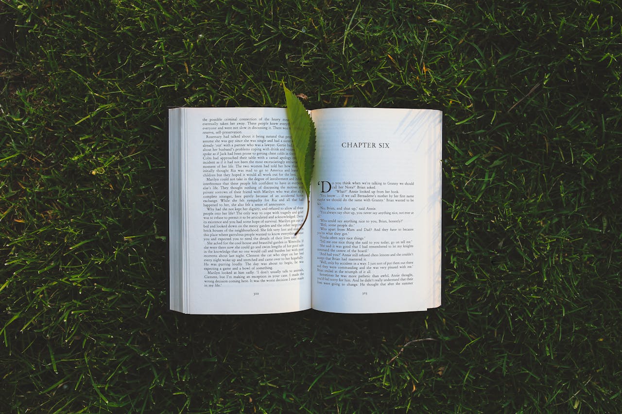 Purpose of sarcasm in storytelling